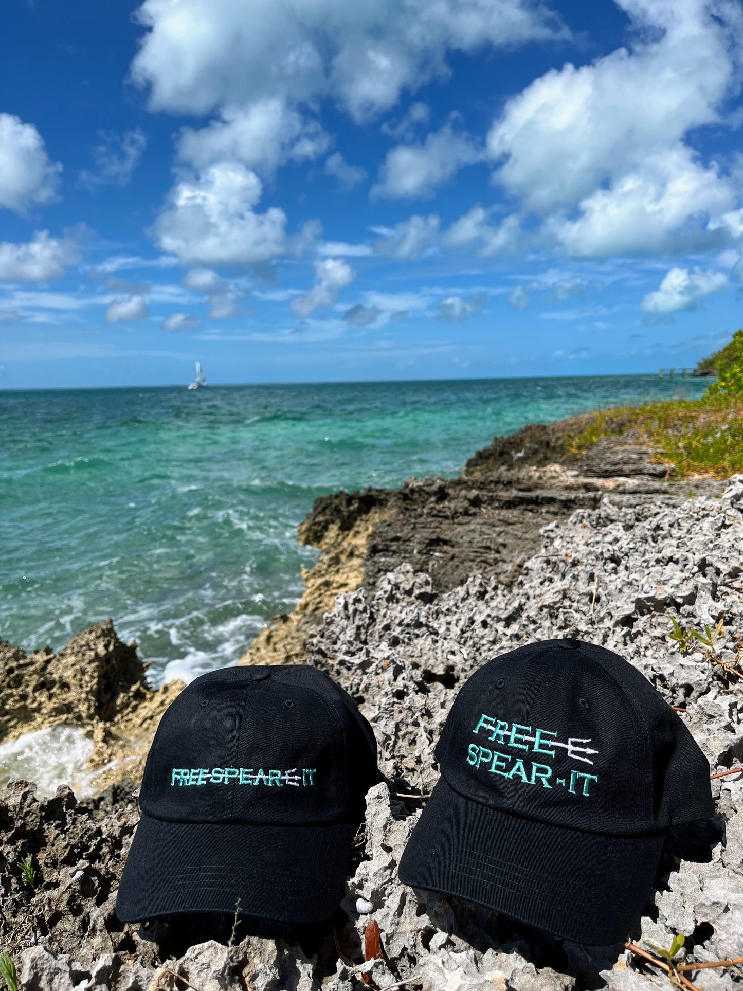 Free Spear-It Embroidered Dad Hat - Black
